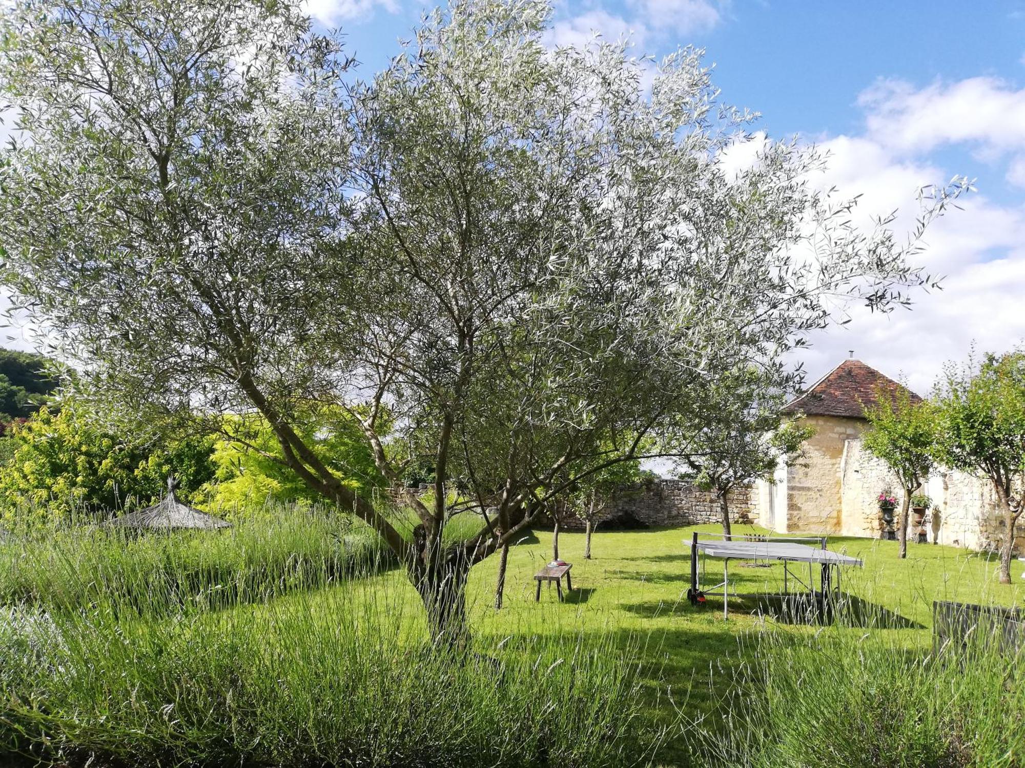 Domaine De Givre Bed & Breakfast Chinon Exterior photo