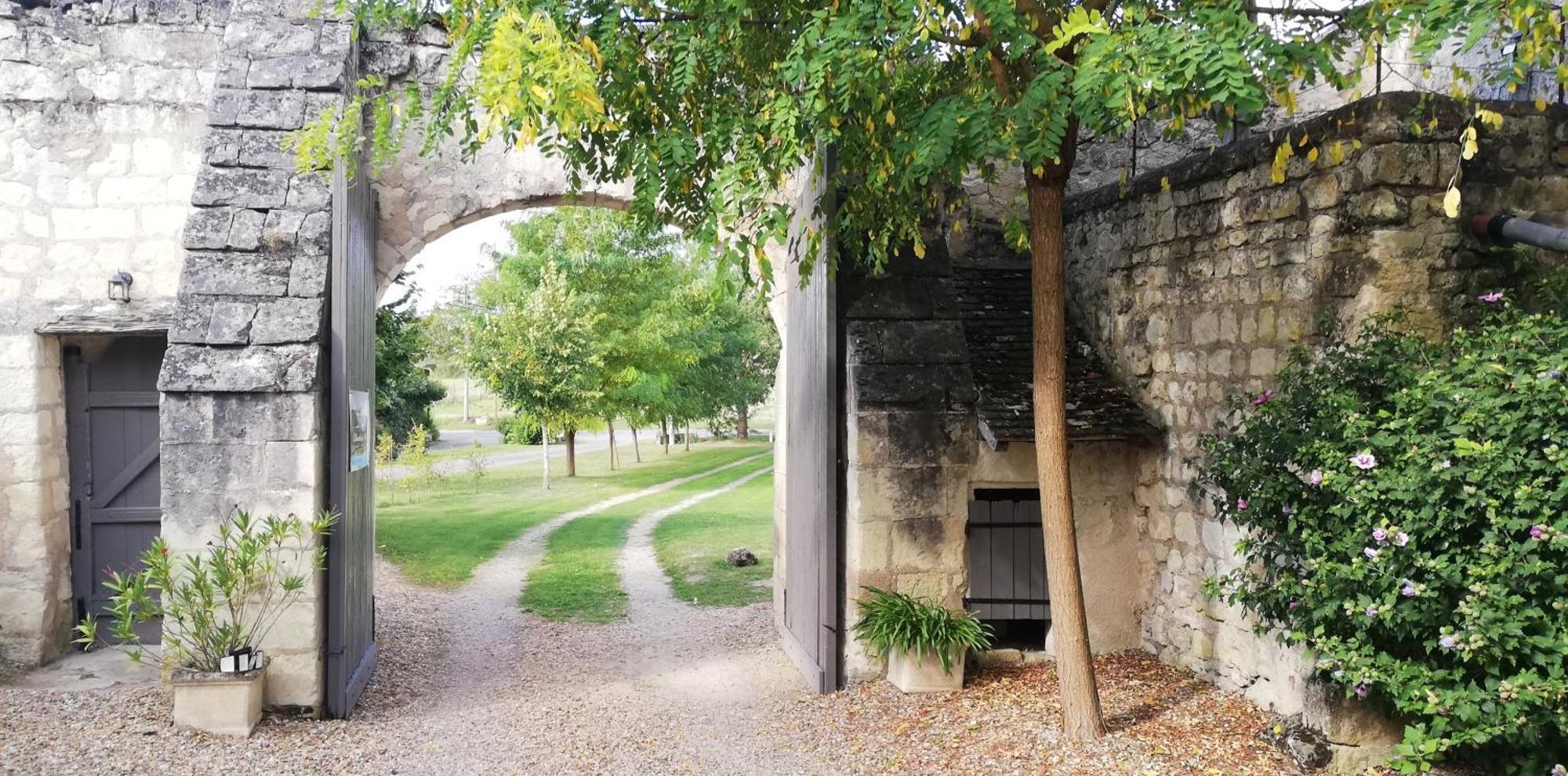 Domaine De Givre Bed & Breakfast Chinon Exterior photo